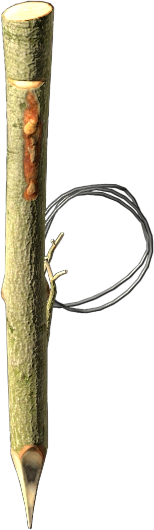 Rabbit Snare in DayZ - Crafting result
